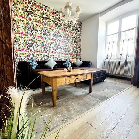 Appartement Schmoutzi & Schatzi - Au Coeur De La Colmar