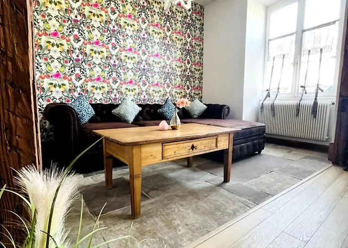 Schmoutzi & Schatzi - Au Coeur De La קולמר